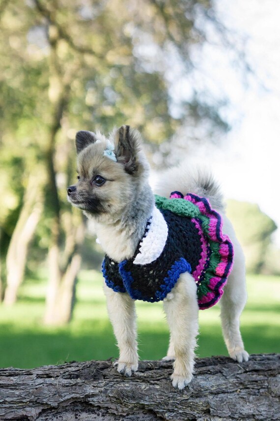 Hmong Inspired Dog Dress Etsy