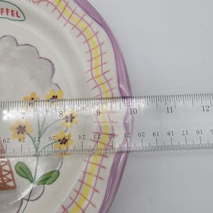 Puede incluir: Un plato de cer&aacute;mica blanco con borde morado y dise&ntilde;o floral. El plato tiene un patr&oacute;n de cuadr&iacute;cula amarilla y rosa alrededor del borde. Una regla se coloca sobre el plato, midiendo aproximadamente 10 cm.