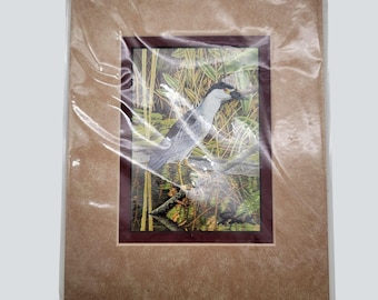 Black-Crowned Night-Heron Hand-Colored Etching Reproduction By John Costin