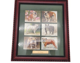 Framed Bull Dog Collection Series of 6 Cards