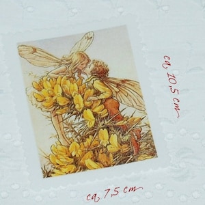 May include: A rectangular print depicting two fairies kissing amongst yellow flowers. The print measures approximately 10.5 cm by 7.5 cm. The edges of the print have a decorative, scalloped border.