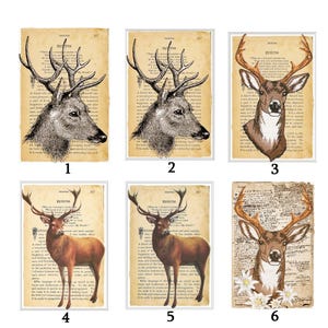 Patches Aufnäher Applikation Platzhirsch Hirschkopf Hirsch Collagen verschiedene Motive Patchwork Journaling