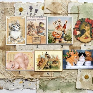 Könnte beinhalten: Eine Collage von Katzenillustrationen im Vintage-Stil auf gealtertem Papier, die verschiedene Katzenrassen in bezaubernden Szenen zeigt. Die Kunstwerke umfassen florale Akzente, Spitze und getrocknete Blumen und schaffen eine rustikale, nostalgische Ästhetik. Die Bilder sind auf einem strukturierten Hintergrund angeordnet.