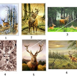 Patch application Deer head Stag head Deer 6 different motifs