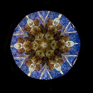 Seashells Kaleidoscope, Large Classic Kaleidoscope, Traditional Kaleidoscope, Handmade kaleidoscope COLS image 6