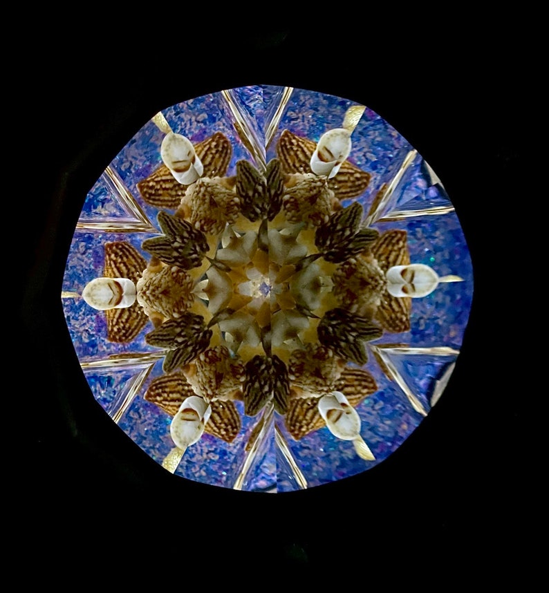 Seashells Kaleidoscope, Large Classic Kaleidoscope, Traditional Kaleidoscope, Handmade kaleidoscope COLS image 6