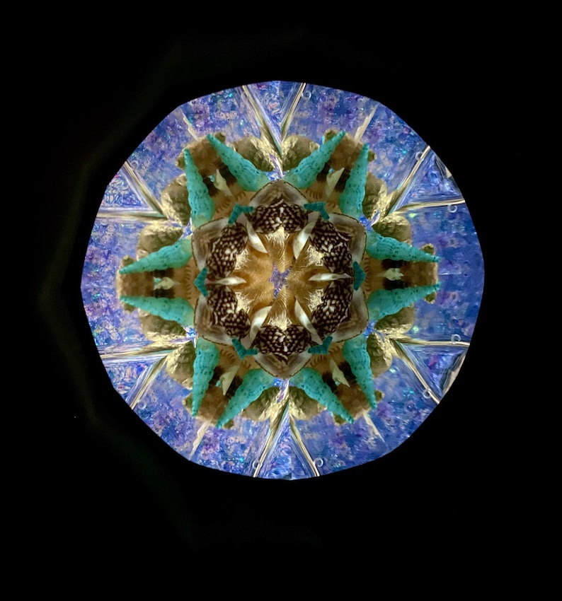 Seashells Kaleidoscope, Large Classic Kaleidoscope, Traditional Kaleidoscope, Handmade kaleidoscope COLS image 5