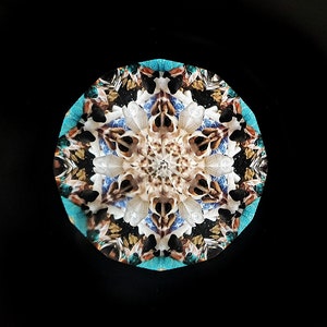 Seashells Kaleidoscope, Large Classic Kaleidoscope, Traditional Kaleidoscope, Handmade kaleidoscope COLS image 3