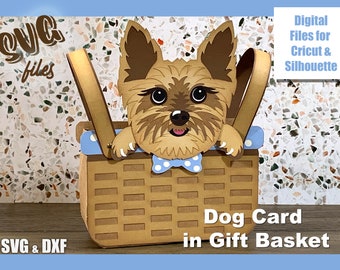 Può includere: Un file di taglio digitale per un biglietto di cane in un cesto regalo. Il biglietto presenta un cane marrone e bianco con un papillon blu. Il cesto è marrone con una fodera a pois blu e bianchi. Il file è per l'uso con macchine da taglio Cricut e Silhouette. Sono inclusi file SVG e DXF.