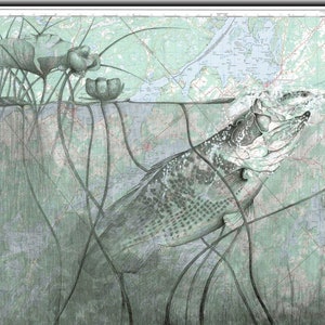 Jitterbugging il Rideau - Bass fishing, Rideau Lakes, Fish Art, arte della parete, mappe, carte nautiche, fauna selvatica, animali, uccelli, vita marina, Art