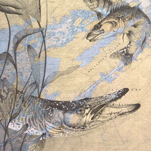 Imboscata - Muskie, Walleye, Pickerel, 1000 Isole,Bass fishing, Rideau Lakes, Fish Art, Wall Art, Mappe, Carte Nautiche, Fauna selvatica, Animali