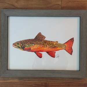 Bachforelle - Aquarell Pinsel Stifte - Fischköder, Vintage lockt, Fisch-Kunst, Wandkunst, Karten, nautische, Tierwelt, Vögel, Marine Life