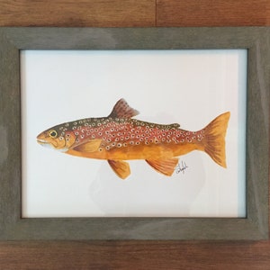Braune Forelle - Aquarell Pinsel Stifte - Angeln Köder, Vintage Köder, Fischkunst, Wandkunst, Karten, nautische, Tierwelt, Vögel, Meeresleben