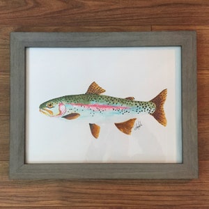 Rainbow Trout - Plumas de cepillo de acuarela - Señuelos de pesca, señuelos vintage, arte de pescado, arte de pared, mapas, náutico, vida silvestre, aves, marina