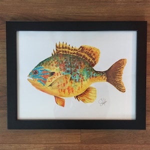 Kürbiskern Sonnenfisch - Aquarell Pinsel Stifte - Angeln Köder, Vintage Köder, FischKunst, Wandkunst, Karten, nautische, Tierwelt, Vögel, Marine
