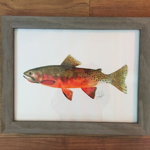 Trucha de corte occidental - Plumas de cepillo de acuarela - Señuelos de pesca, señuelos vintage, arte de peces, arte de pared, mapas, náutico, vida silvestre, aves, marina