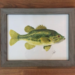 Largemouth Bass - Aquarell Pinsel Stifte - Angeln Köder, Vintage Köder, Fischkunst, Wandkunst, Karten, nautische, Tierwelt, Vögel, Marine