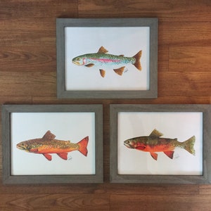 Conjunto de cualquiera de 3 truchas - Sin marco - Arco iris, arroyo, marrón o degollado - Peces, Arte de peces, Arte de pared, Mapas, Náutica, Vida silvestre, Aves, Marina