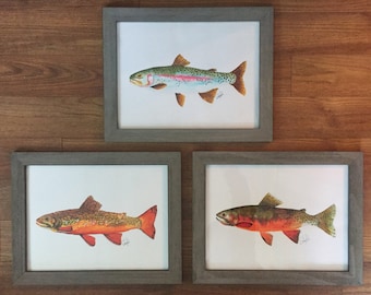 Set of Any 3 Trout - Unframed - Rainbow, Brook, Brown or Cutthroat - Fish, Fish Art, Wall Art, Maps, Nautical, Wildlife, Birds, Marine