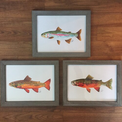 Ensemble de 3 truites - Non encadré - Arc-en-ciel, Brook, Brown ou Cutthroat - Poisson, Fish Art, Wall Art, Cartes, Nautique, Faune, Oiseaux, Marine