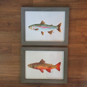 Conjunto de Cualquier 2 Trucha - Unframed- Arco Iris, Arroyo, Marrón o Garganta - Pescado, Arte de Pescado, Arte de Pared, Mapas, Náutico, Vida Silvestre, Aves, Marina