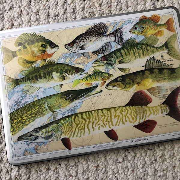 New product - Laptop Gelaskins- Fish, art, wildlife, laptop covers, skins, artwork