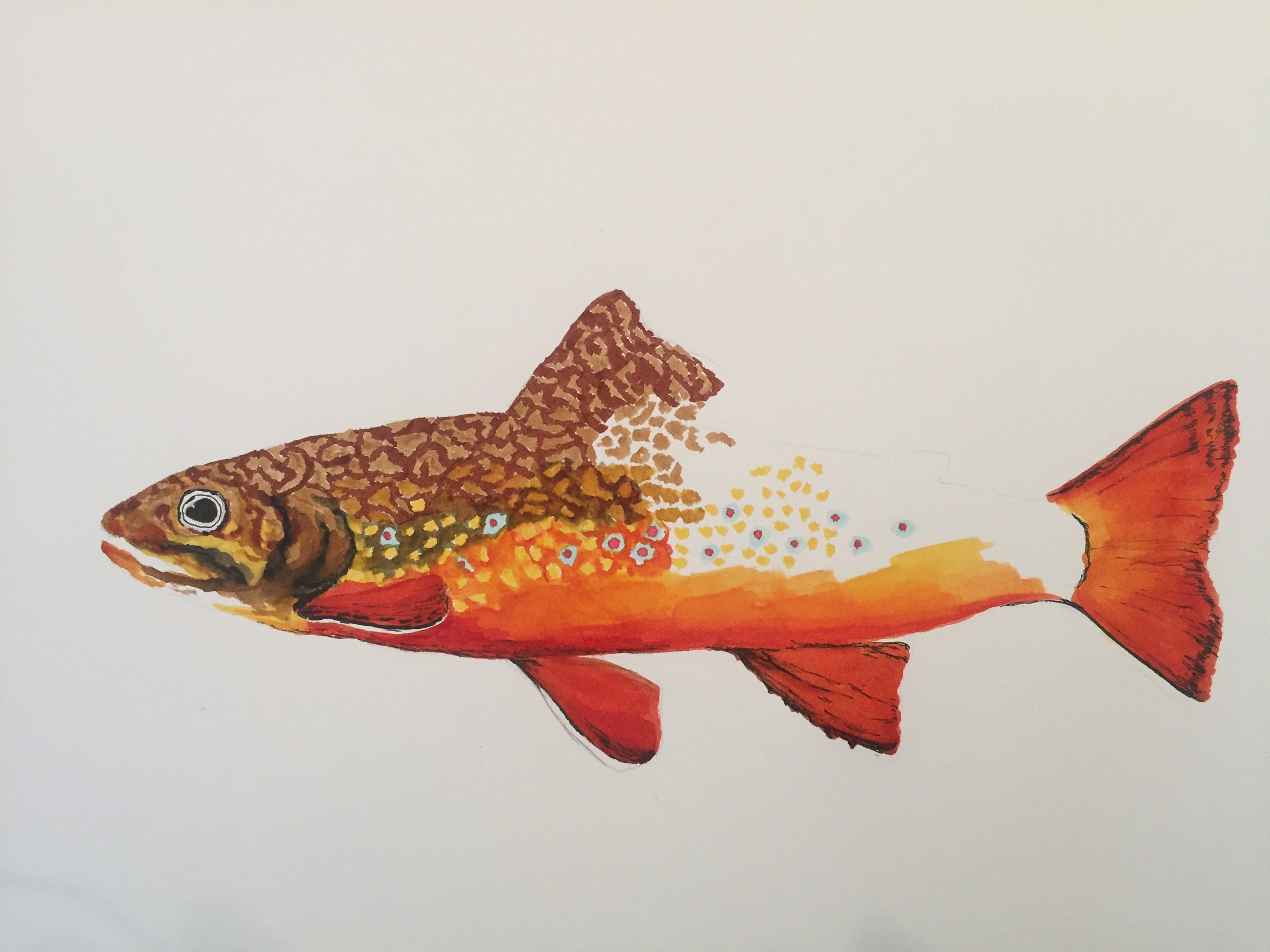 Brook Trout Watercolour Brush Pens Fishing Lures, Vintage Lures, Fish Art,  Wall Art, Maps, Nautical, Wildlife, Birds, Marine Life -  Ireland