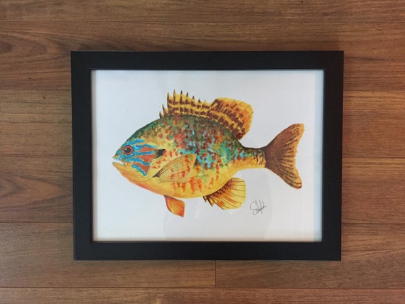 Pumpkinseed Sunfish Watercolour Brush Pens Fishing Lures, Vintage