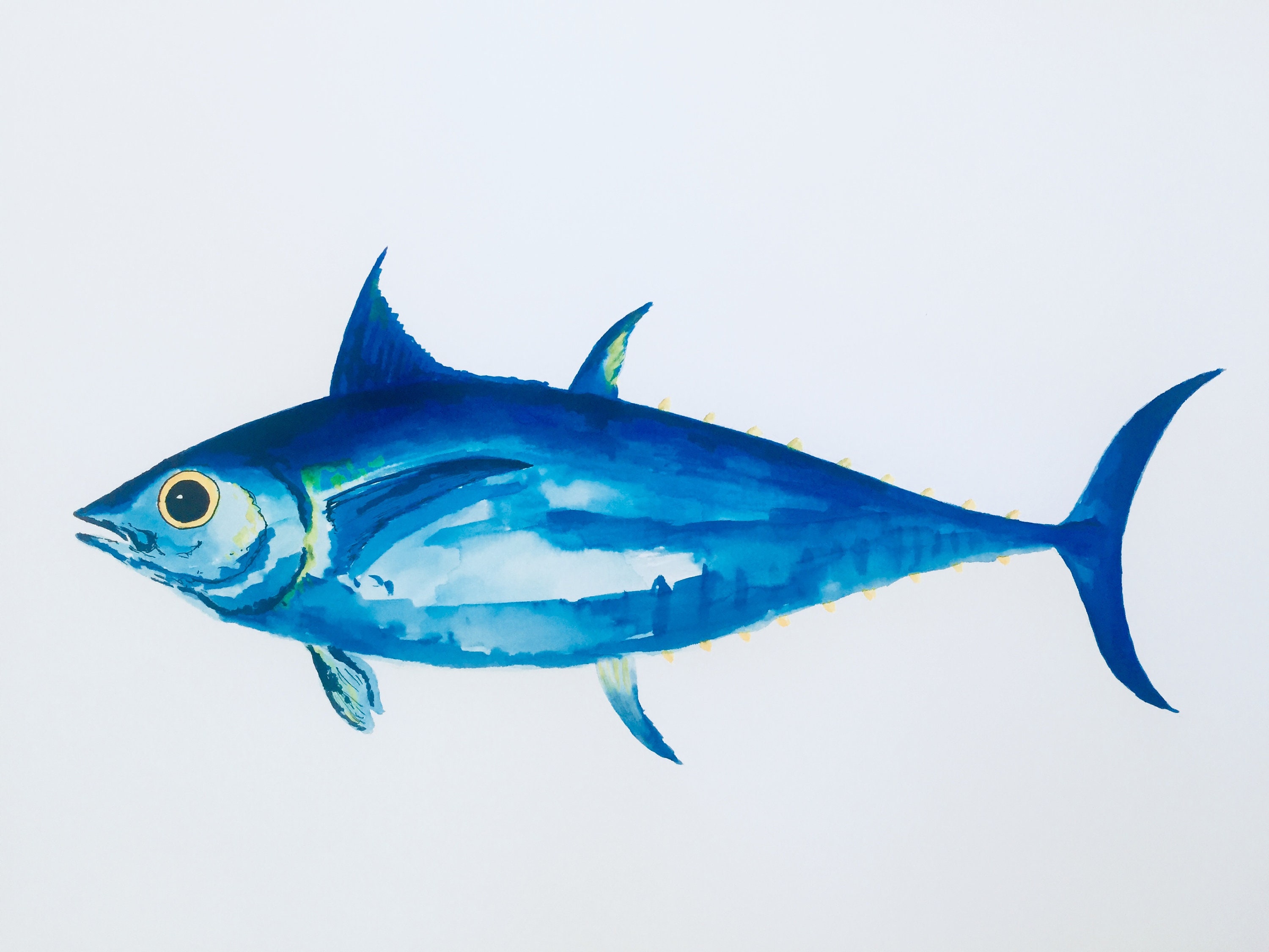 Bluefin Tuna Watercolour Brush Pens Fishing Lures, Vintage Lures
