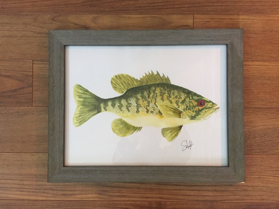 Smallmouth Bass Watercolour Brush Pens Fishing Lures, Vintage