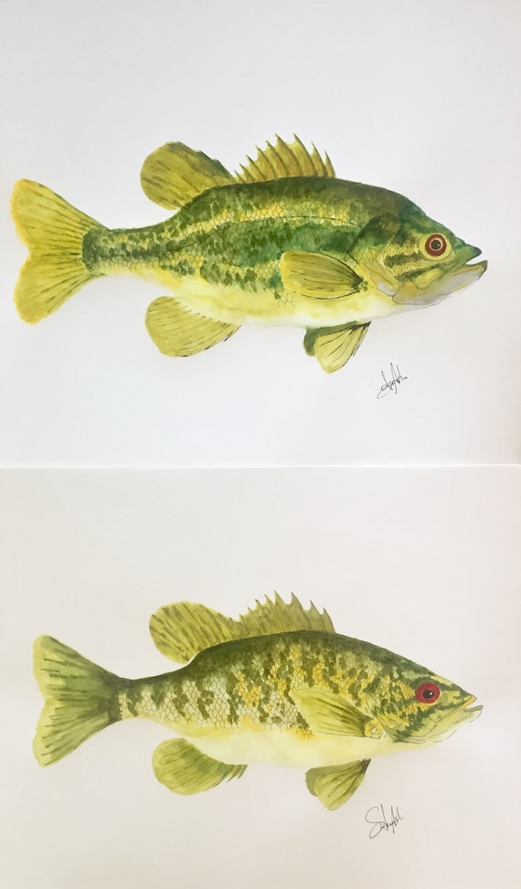 Vintage Kunstdruck Smallmouth Barsch Angelköder - Patentzeichnung Auf Pergamentpapier 8,5x11 Zoll Vintage Kunstdruck Smallmouth Barsch Angelköder - Patentzeichnung Auf Pergamentpapier 8,5x11 Zoll