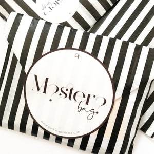Caja de papelería Mystery Planner: pegatinas, blocs de notas, troqueles, tarjetas de diario y pegatinas metalizadas. Paquete de regalo minimalista.