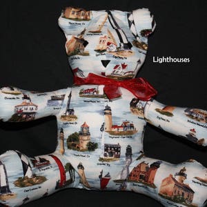 Share-A-Bear with Lighthouses and Beaches