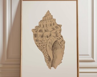 Seashell Sketch Print, Hand Drawn Shell Illustration, Coastal Decor, Neutral Beach House Art, Marine Study