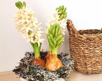 Hyacinth flowers, handmade flowers, home decor, made from air dry polymer clay, white hyacinth