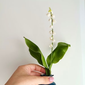 May include: A small, cylindrical, dark blue glass vase holding a stem of lily of the valley flowers. The flowers are white and bell-shaped, with green leaves. The vase is held by a person.