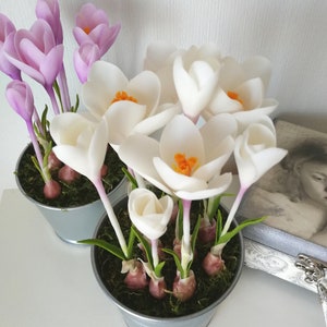 Crocus flowers in flowerpot, Bouquet of white crocus, Clay flowers, Home decor, Floral Arrangements.