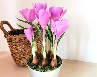 Clay Crocus flowers in a flowerpot, Bouquet of purple crocus, Clay flowers, Home decor, Floral Arrangements.