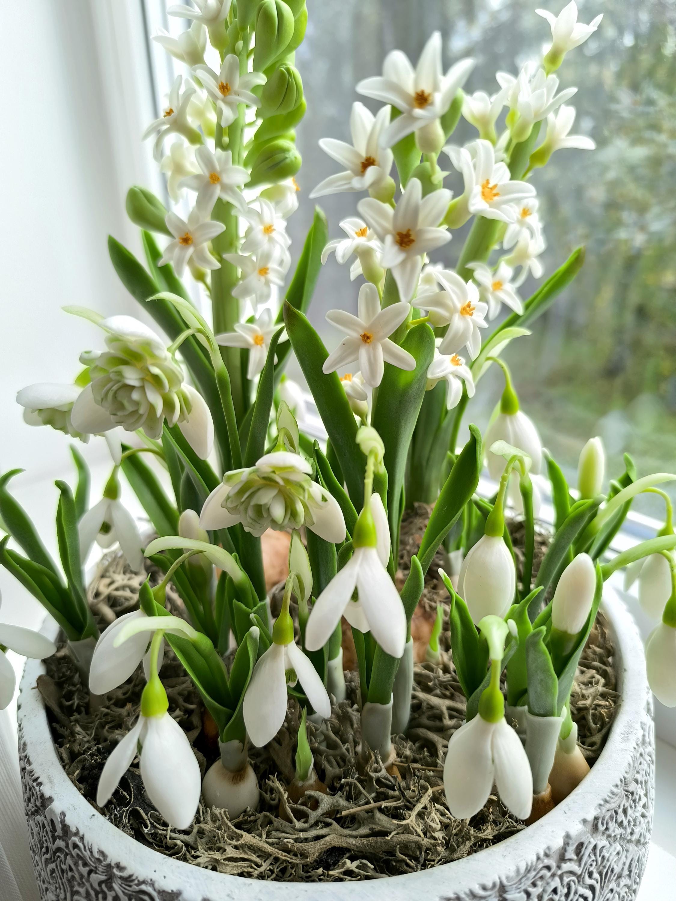 Weisse Schneeglöckchen, weisse Hyazinthen-Blumen, handgemachte Blumen, Frühlingsblumen aus Polymer-Ton, Wohn-Deko, Kunstblumen
