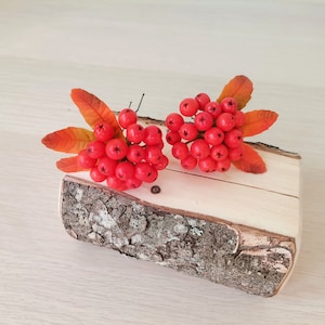 Pino de cabelo de Rowan, acessórios de cabelo de Rowan, acessórios de outono, baga de Rowan, feito de argila de polímero seco ao ar, feito à mão, vermelho, laranja