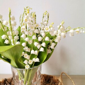 May include: A bouquet of white lily of the valley flowers in a clear glass vase. The vase is sitting on a woven wicker tray.