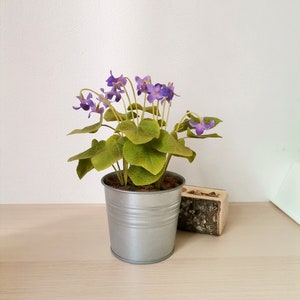 Violet, wood violet, floral arrangement, home decor, made of air dry polymer clay, purple violet