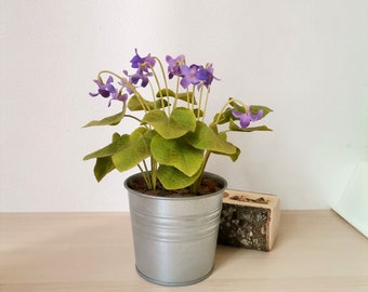 Violet, wood violet, floral arrangement, home decor, made of air dry polymer clay, purple violet