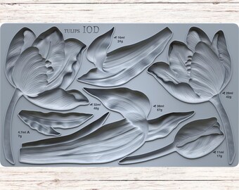 Molde IOD para tulipanes de 6 x 10™