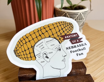 Nebraska Football Fan Anatomy Sticker: Funny Sports Gift