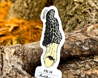 Morchel Pilz Aufkleber, Vintage Pilz Aufkleber