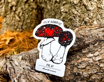 Fliegenpilz-Pilz-Aufkleber, Vintage Pilz-Aufkleber, Roter Pilz-Aufkleber