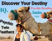 SAME DAY 1Q. Psychic Reading to Discover Your Destiny Delivered to you in mp3 on love, career, money, dating, health travel family & clarity