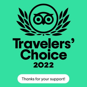 Psychic Twin featherz Awarded Traveler's Choice 2022