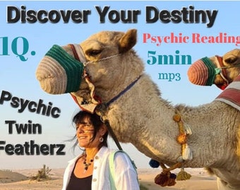 Same Day Psychic Reading channelled from Popular Psychic Twin Featherz, Highly Rated for True Psychic Predictions LOVE Career Finance Money